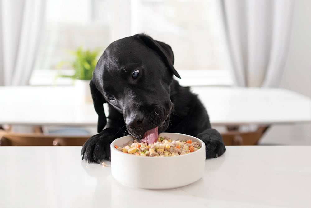 What is Wholesome Pet Food?