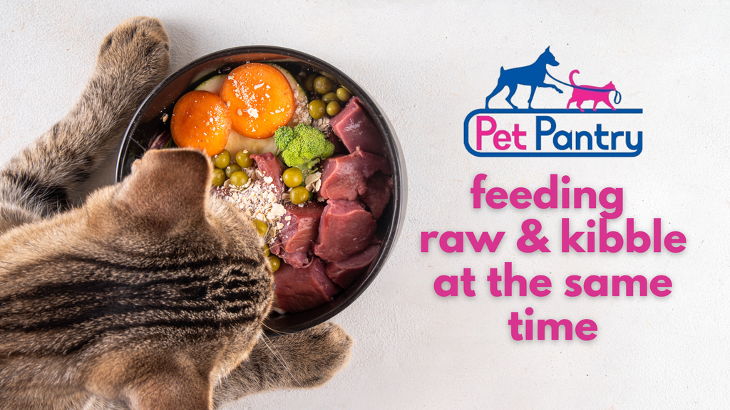 Is It Safe to Feed Your Pet Raw and Kibble at the Same Time? Tips and Tricks for Balanced Feeding